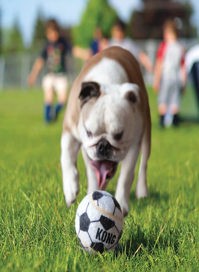 KONG Sport Balls for Dogs, Durable Fetch Toy with Extra-Thick Rubber Walls, Safer & Tougher Than Tennis Balls, High Bounce, Non-Toxic, Gentle on Teeth & Gums, Medium (Pack of 3) - Image 3